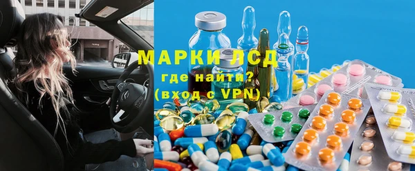 сатива Краснослободск
