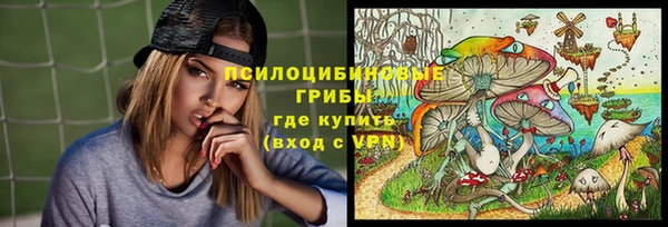 бошки Краснотурьинск